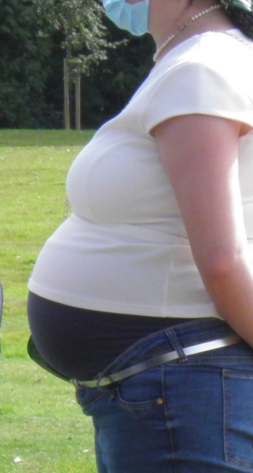 La gestation